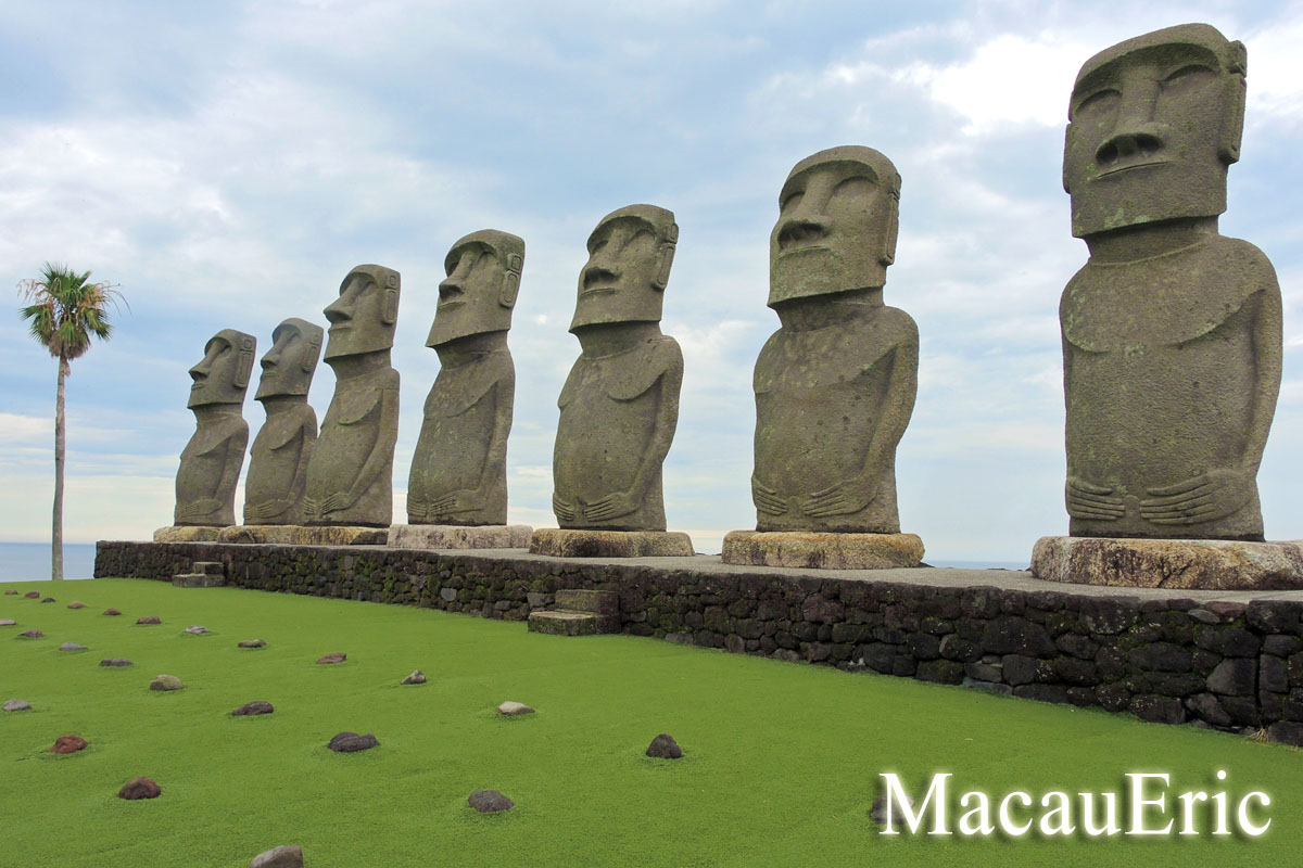 Professional photography